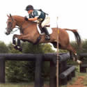 xc