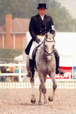 dressage